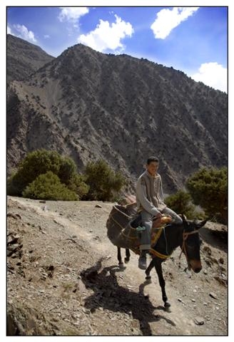 toubkal 185 (Small).jpg